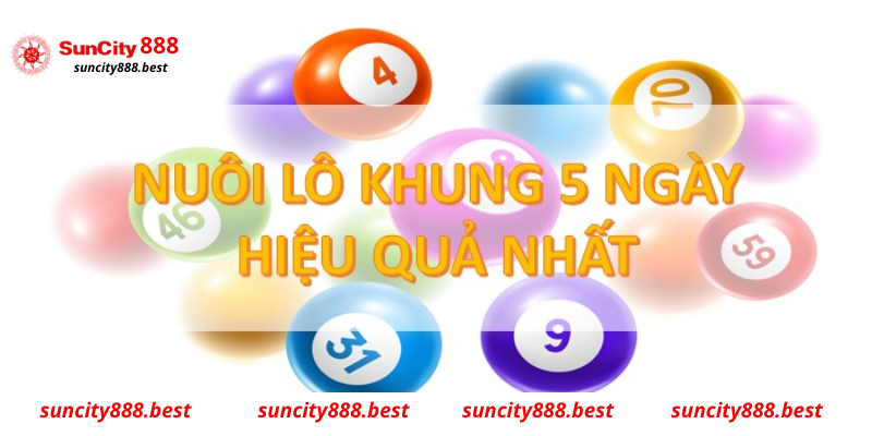 Tìm hiểu về nuôi lô bạch thủ khung 5 ngày